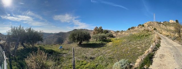 Fotografia panoramica del terreno in collina: ulivi, macchia bassa, la strada sterrata e il crinale
