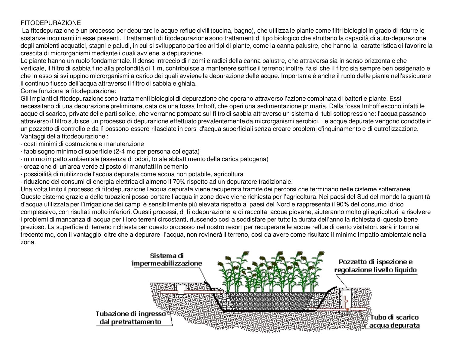 Schema della fitodepurazione: la vasca di ingresso, il letto di sabbia e ghiaia con la canna palustre, il pozzetto di regolazione e il tubo di scarico dell'acqua depurata